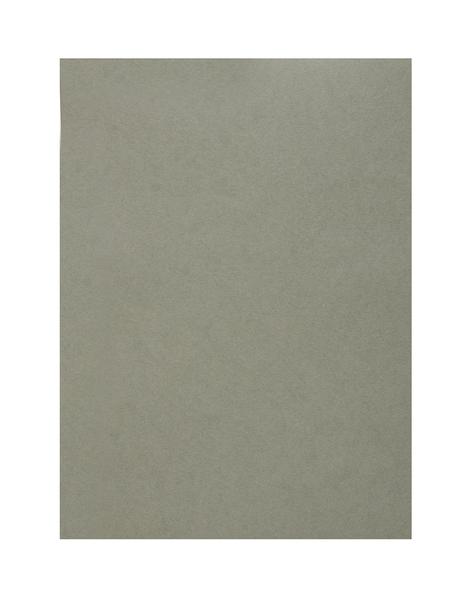 Scholar A4 GREY TONED PAPER LOOSE SHEETS - 170 GSM (GLS4)