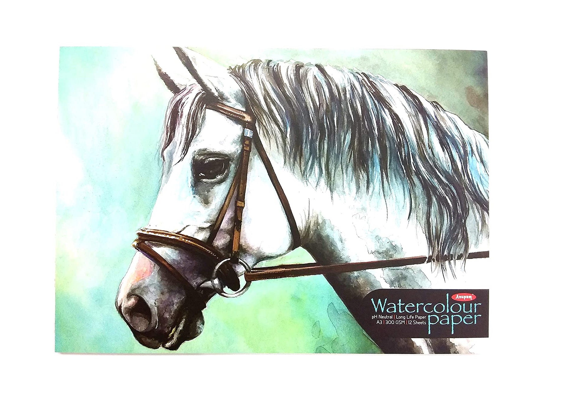 Anupam Watercolour Paper pad A3 Size with 300 GSM Paper (12 Sheets)