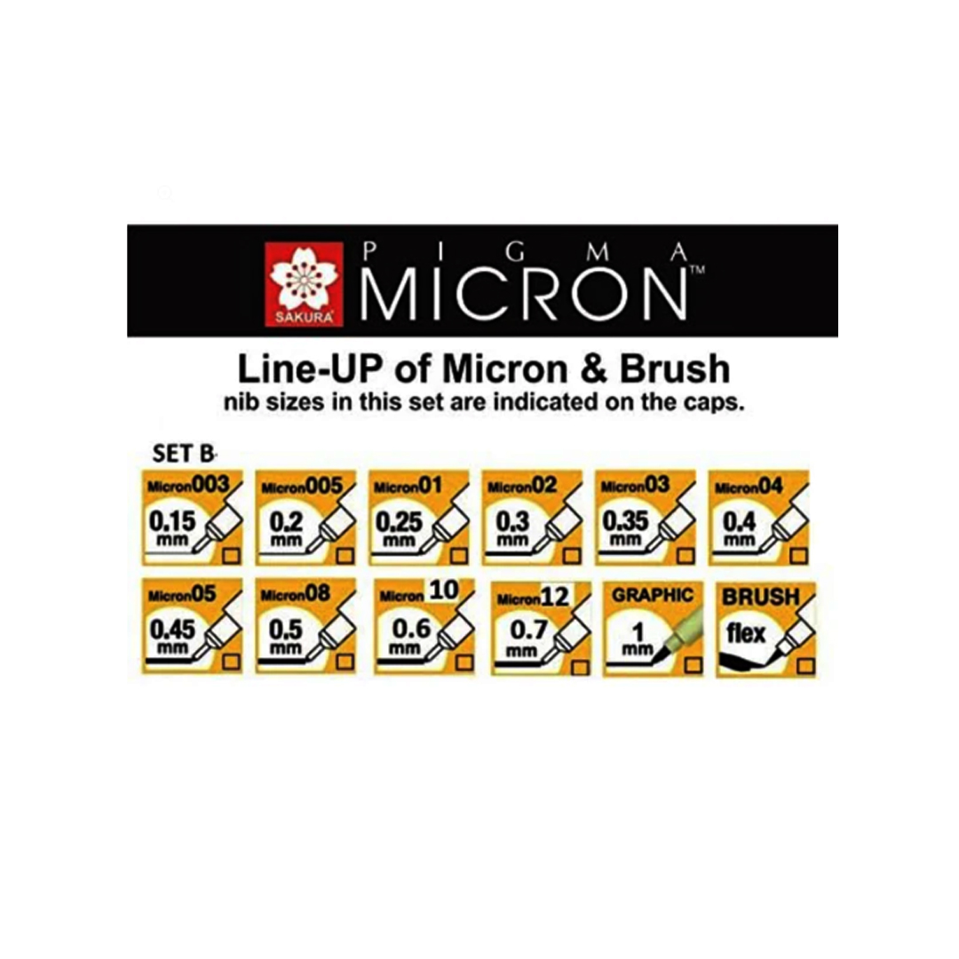 Sakura Pigma Micron Set of 12 Assorted Nibs Black-12B